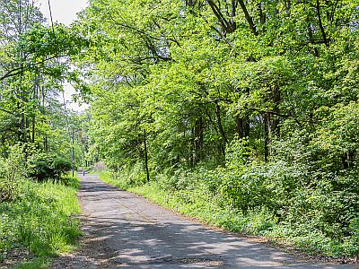 Troy Meadows Road